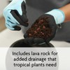 Tropical Potting Soil Mix, 1 Bag 6 Dry Qt., Include
