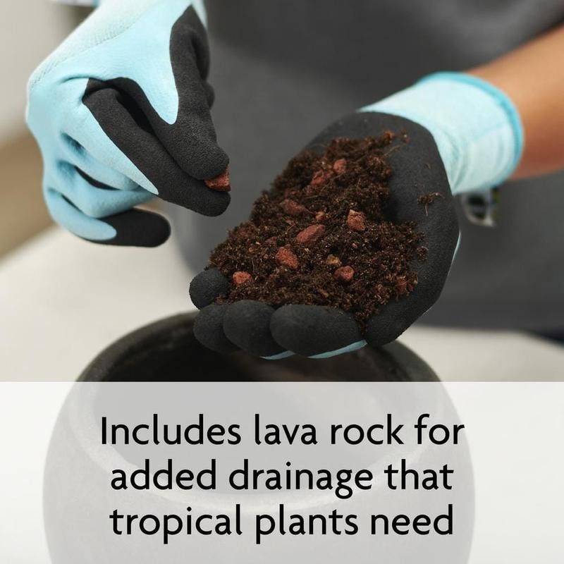 Tropical Potting Soil Mix, 1 Bag 6 Dry Qt., Include