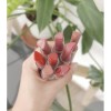 Set De 8 Labiales Lipstick Oil Click Hidratantes Con Brillo