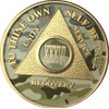 36 Year AA Medallion Camo Gold Plated Anniversary Chip Camouflage