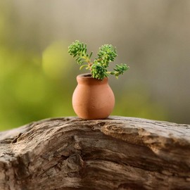 6 Pcs Mini Clay Pots 1.5 Inch Terracotta Plant Pots Small Succulent Pots Mini Pots For Plants