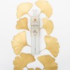 CHIYU Bio Kintsugi Repair kit: Bio Repair Kit - Gold