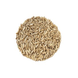 AA Plus Shop Premium Triple Cleaned Whole Oats, Horse Feed, Garden Grass Growing and Mushroom Growing, 10lb Bag