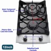 Eascookchef Gas Cooktop 12" Black Tempered Glass 2 Burners Built-in
