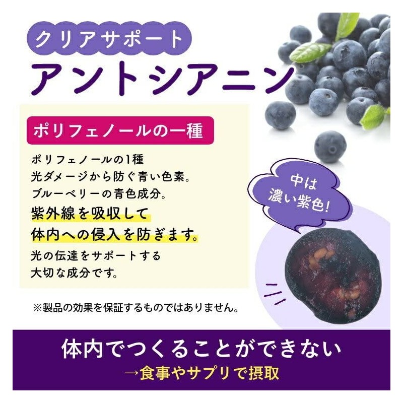 渡邊薬品 ブルーベリー ルテインプラス ビルベリー 60粒 3袋セット