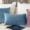 MIULEE Set of 2 Velvet Cushion Covers, 30 x 50