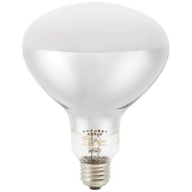 岩崎電気 I Self ballasted Mercury Lamp bhrf200/220 V160wh