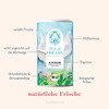 Organic Herbal Tea "Alpenwind" Made from Natural Mountain Herbs Loose