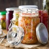 TOPZEA 9 Pack Fermentation Glass Weight with Easy Grip Handle,