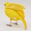 bh7643 hansa canary 9