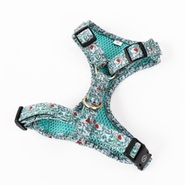 Angie and Allie Organic Cotton Dog Harness,No Pull Pet Harness with Leash D-Ring,Adjustable Soft Padded Dog Vest,Comfortable,Sustainable,Breathable and Stylish for Your Canine Companion