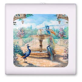 Plug in Dimmable LED Night Light with Dusk to Dawn Auto Sensor, Adjustable Brightness, Warm Light, Auto On-Off Nightlight for Bathroom, Hallway, Nursery, Bedrooms - Peacock Painting