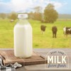 Kitchentoolz 33 Oz Square Glass Milk Bottles with Lids, Perfect