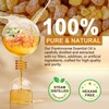 Maani Essence Frankincense Essential Oil, 100% Pure & Natural, for