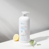 [Obra] Cooling Shampoo/Scalp Care Ginger & Lemon Shampoo Volume 1500ml