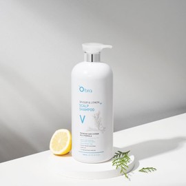 [Obra] Cooling Shampoo/Scalp Care Ginger & Lemon Shampoo Volume 1500ml / [오브라] 쿨링샴푸/두피케어 진저 앤 레몬 샴푸 볼륨 1500ml
