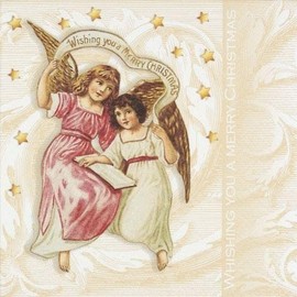 Ti-Flair Wishing You a Merry Christmas 20 Count Luncheon Napkins