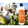 Jason Shampoo Cndtnr Dandruff
