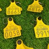 Llavero De Arete De Vaca | Cattle Tag Keychains