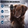 24pcs Almohadillas Protectoras Antideslizantes para Perros, Evita Resbalen, Protector de