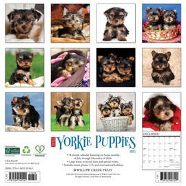Just Yorkie Puppies 2025 12" x 12" Wall Calendar
