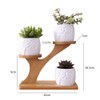Linglan Ceramic Succulent Garden Planter, Mini Owl Flower Pots with