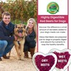 Olewo Original Red Beets for Dogs – Natural Dog Anti
