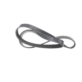 febi bilstein 28847 V-Ribbed Belt, Number of Ribs 5, Pack of 1