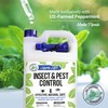 Mighty Mint Gallon (128 oz) Insect and Pest Repellent Peppermint