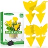 36 Pcs Classic Sticky Traps for Fungus Gnat (Plants), Fruit