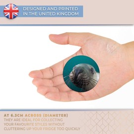 Destination Vinyl ltd Magnet for Refrigerator, Fridge - Cute Sea Lion Face Underwater for Office, Cabinet and Whiteboard, Magnetic Stickers, 16872