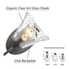 DANSEER Rustic Finish Wall Sconce Vintage Vanity Light with Amber