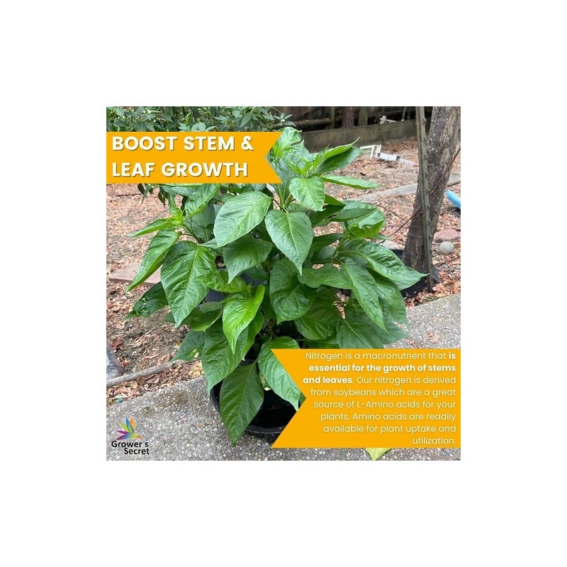 Grower's Secret Nitrogen 16-0-0 • Organic • Readily Available For