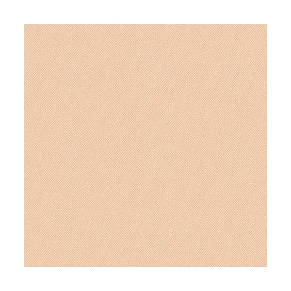 Polvo compacto Clinique Stay-Matte Sheer