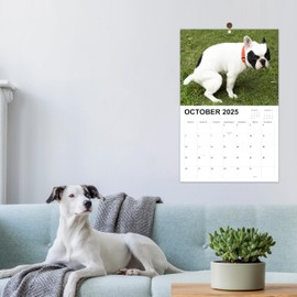 Gag Gifts - Calendar 2025, White Elephant Gifts, 2025 Calendar, 2025 Wall Calendar Pooping Dogs, JAN 2025 - DEC 2025, Funny Calendar 2025, 11" x 17" (Open), 12 Monthly Calendar Planner Pooping Pooches Calendar 2025