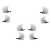 GORGEOUSLASH 30D Lashes, 500 premade volume lash fans, 0.03mm thickness,