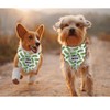 JXGZSO 1 Piece Dill with It Triangle Dog Bandana Pickle