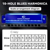 Conjurer Blues Harmonica C Mouth Organ for Children& Adults, Blues