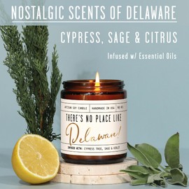 Delaware Gifts, Delaware Decor for Home - 'There's No Place Like Delaware Candle, w/Cypress, Sage & Citrus I Delaware Souvenirs I Delaware State Gifts I 9oz Jar, 50Hr Burn, USA Made
