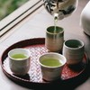 Gold Seal Ichibancha Japanese Tea Kimikura, Deep Steamed Kakegawa Tea,