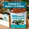 6qt Compressed Indoor Soil