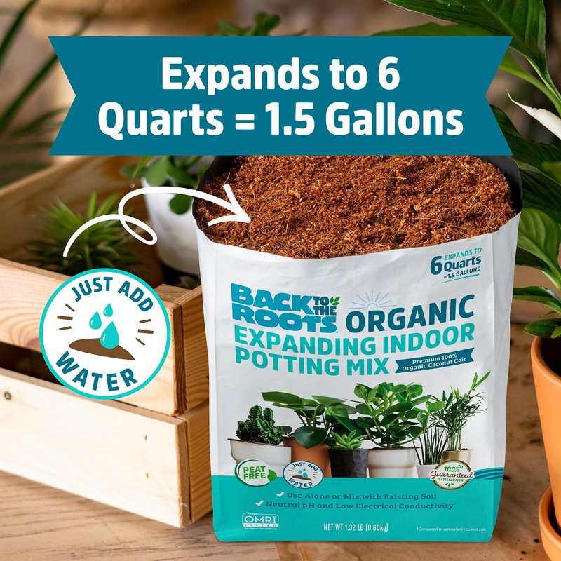 6qt Compressed Indoor Soil