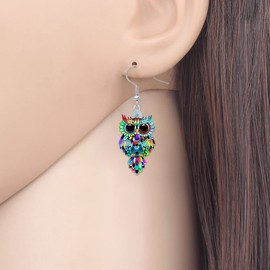 WEVENI Cute Acrylic Owl Earrings Dangle Cartoon Owl Jewelry for Women Owl Lovers Gifts (Rainbow)
