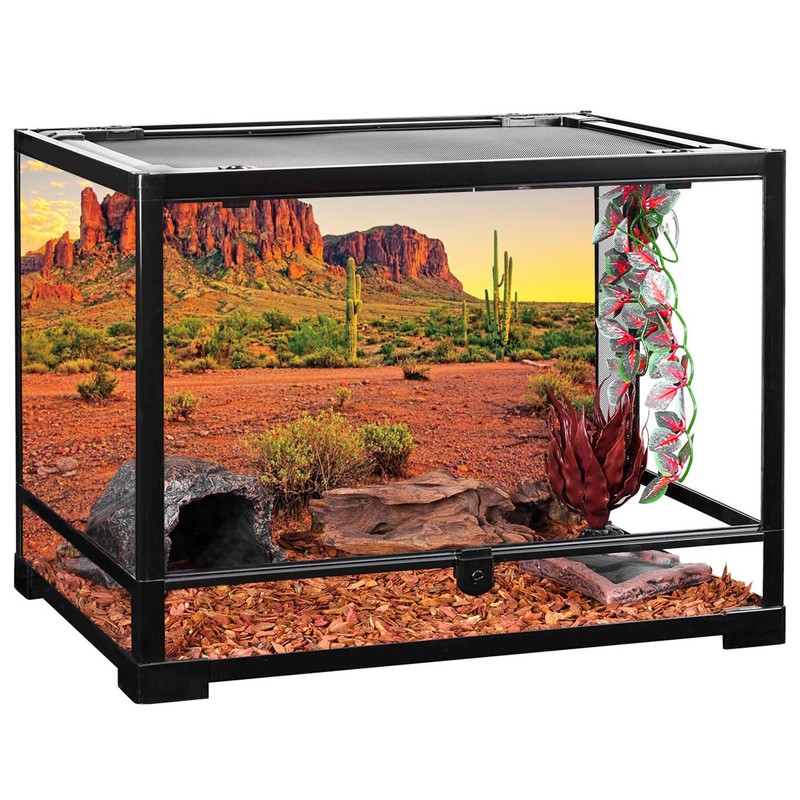 AWERT 48x24 inches Reptile Habitat Background Sky Oasis Mountain Cactus