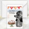 Black Poodle Dog Birthday Card