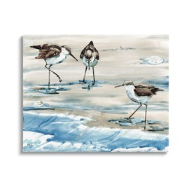 Stupell Industries Rockhampton Sandpipers Ocean Waves Canvas Wall Art, Design by Paul Brent