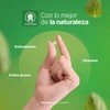 B Life Aceite de Orégano | 160 Cápsulas con Carvacol