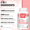 Liposomal Quercetin Phytosome 1600mg Softgels with Bromelain & Vitamin C,