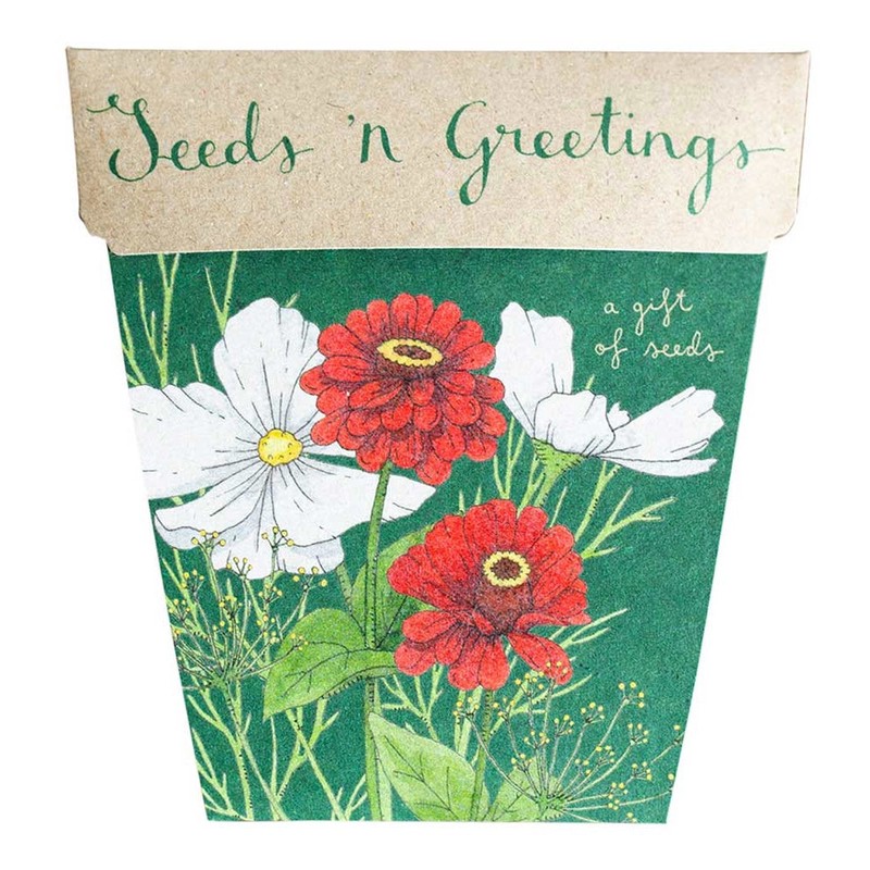 SOW 'N SOW Gift of Seeds - different styles, Poppy