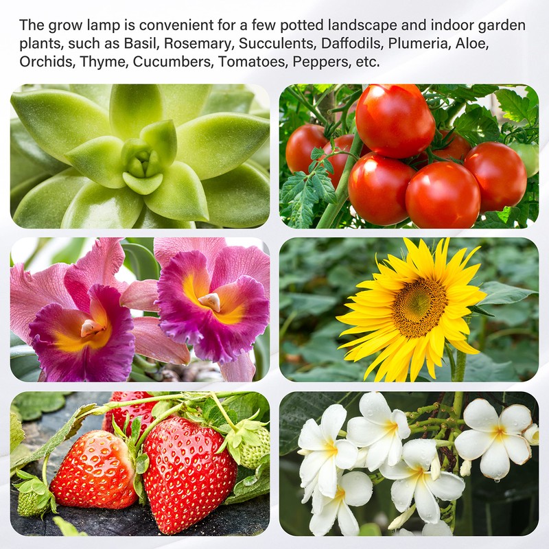 iPower 20W LED Grow Light Strips for Indoor Plants with